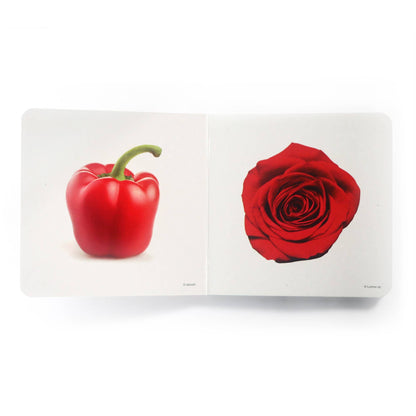 nowordbooks | rood - woordloos fotoboek