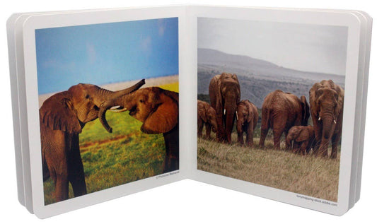 nowordbooks | dieren families 2 - woordloos fotoboek