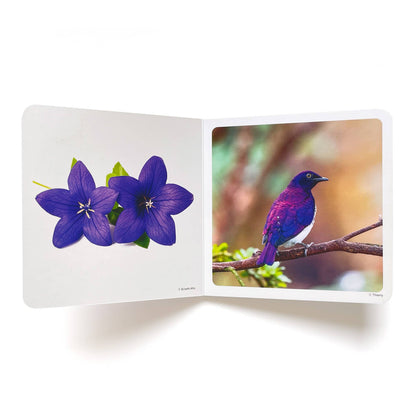 nowordbooks | paars - woordloos fotoboek