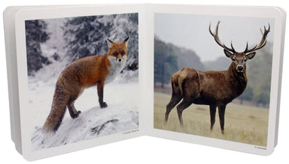 nowordbooks | bosdieren - woordloos fotoboek