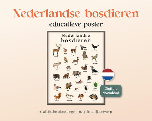 little disciples | nederlandse bosdieren - poster