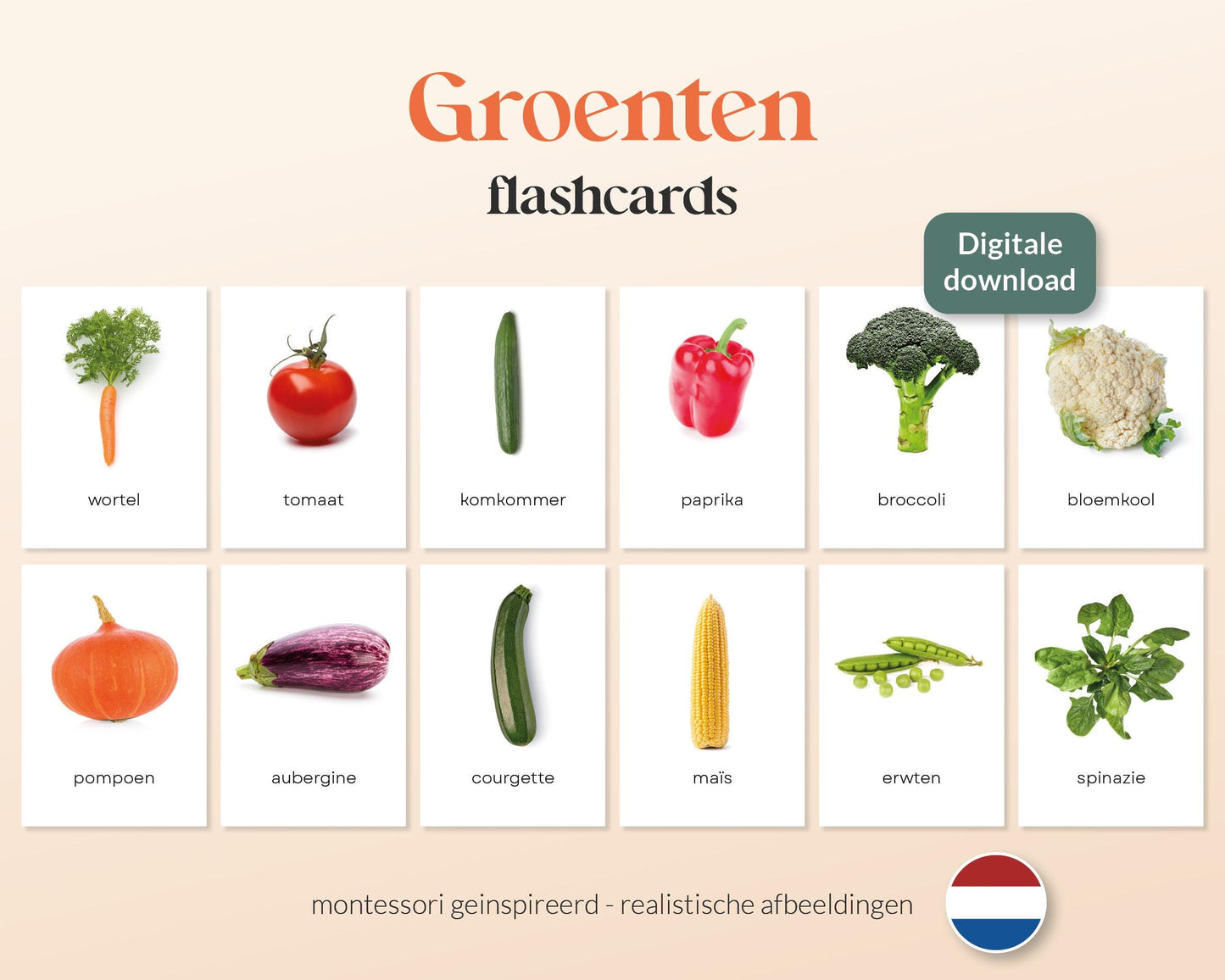 little disciples | groenten - 35 flashcards