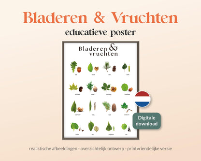 little disciples | bladeren en vruchten, nederlandse bomen - poster
