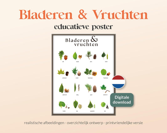 little disciples | bladeren en vruchten, nederlandse bomen - poster