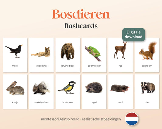 little disciples | bosdieren - 31 flashcards
