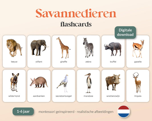 little disciples | savannedieren - 27 flashcards