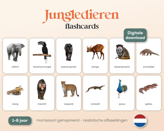 little disciples | jungledieren - 22 flashcards